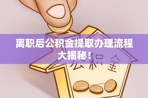 黄陵离职后公积金提取办理流程大揭秘！